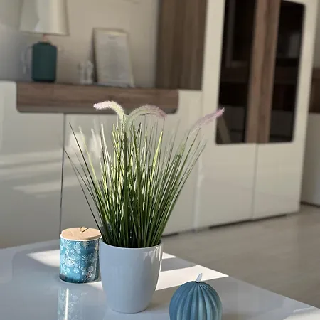 Apartament Belvarosi Luxus Baja